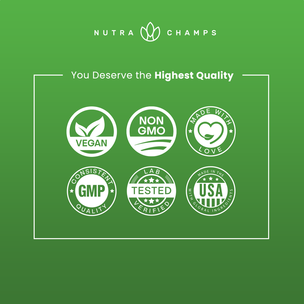 QP-SFY-IDL-23102701-006_1000X