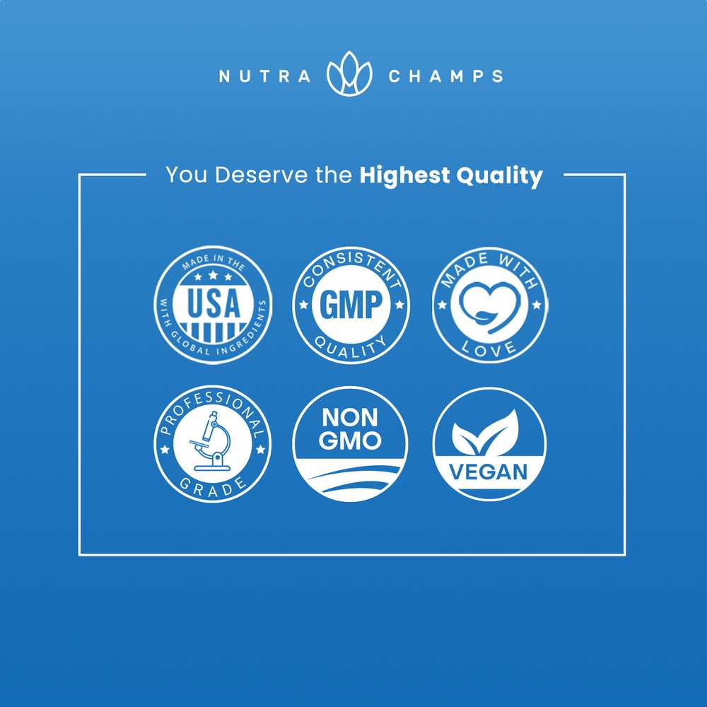 QP-SFY-OYC-23102401-005_1000X