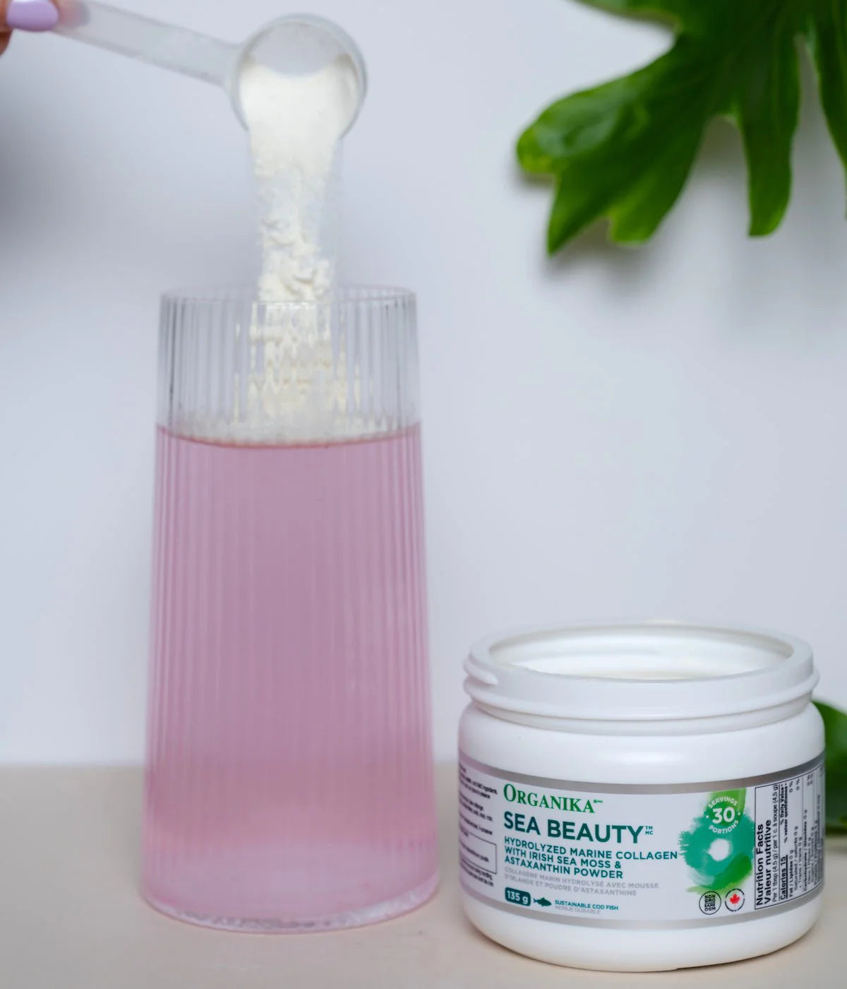 sea-beauty-135-g-4009-397307_1024x1024@2x